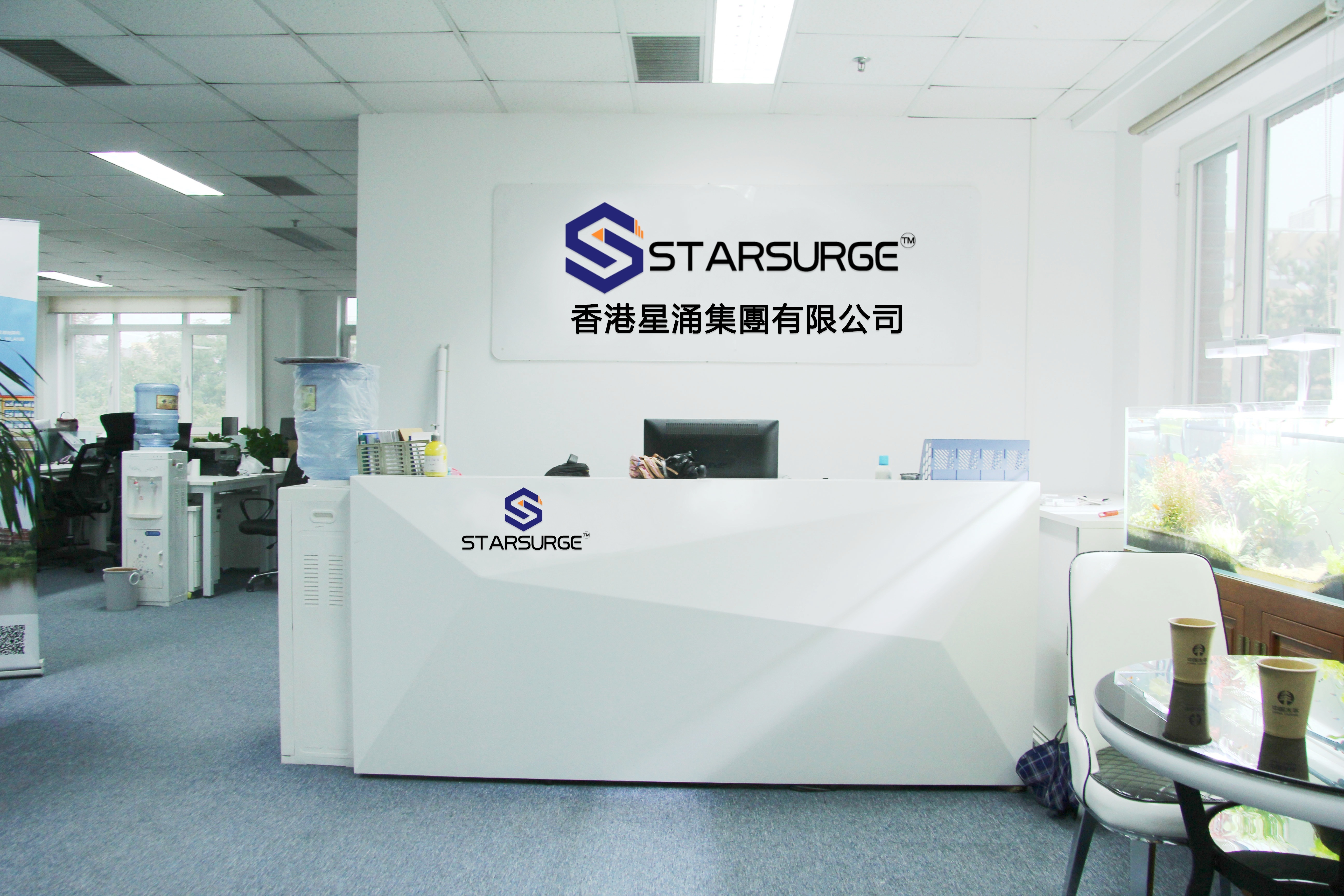 Porcellana Hong Kong Starsurge Group Co., Limited Profilo Aziendale