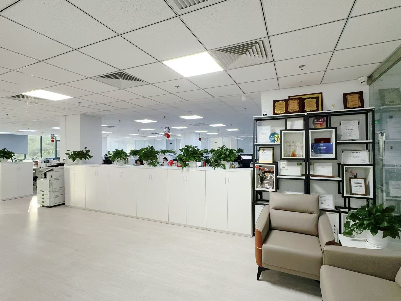 Porcellana Hong Kong Starsurge Group Co., Limited Profilo Aziendale