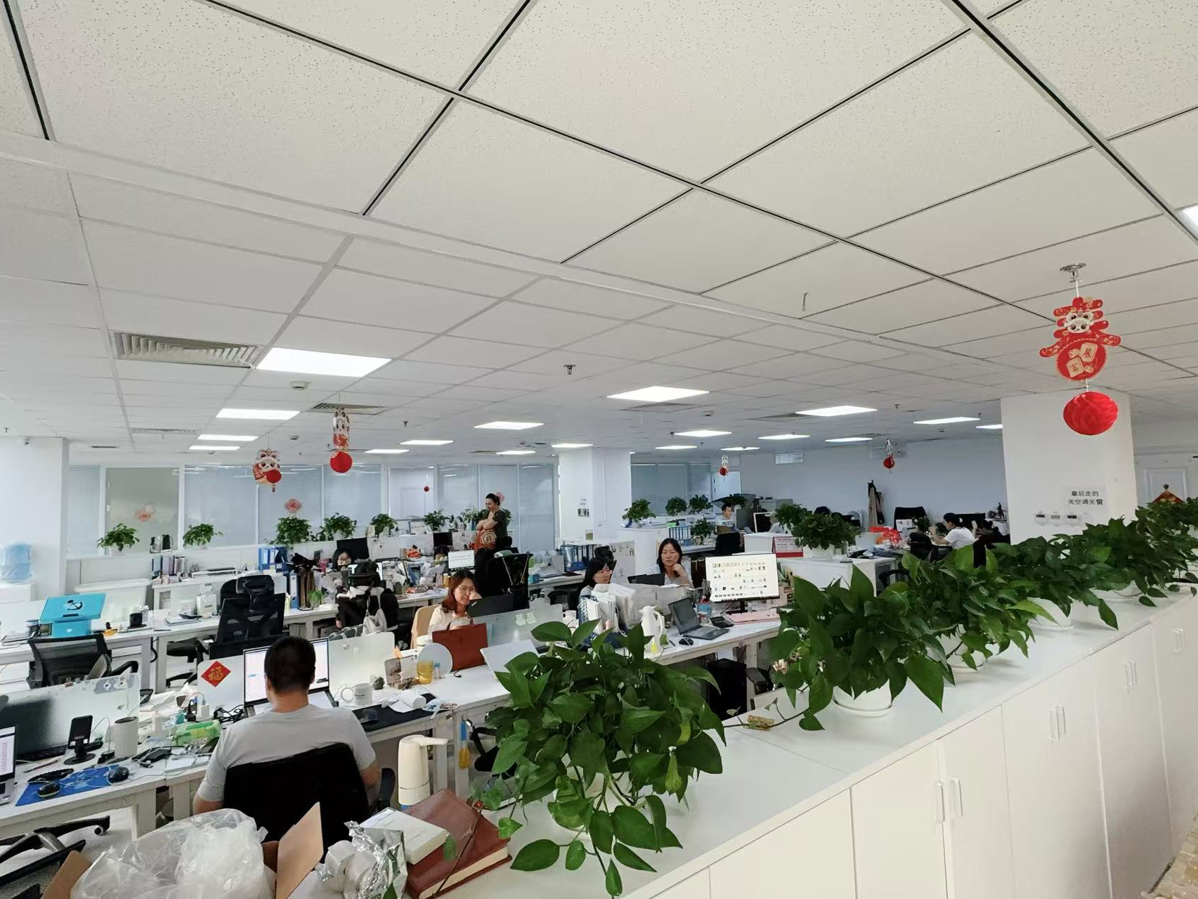 Porcellana Hong Kong Starsurge Group Co., Limited Profilo Aziendale