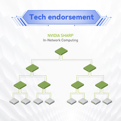 Switch di rete Mellanox MQM9790-NS2F ((920-9B210-00FN-0D0) Quantum-2 NDR 64 X 400Gb/S Porte 32 gabbie OSFP Power-To-Connector non gestito P2C