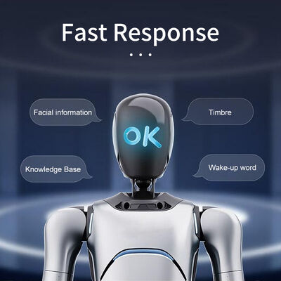 AgiBot G2 Robot operativo interattivo di livello industriale