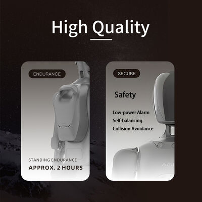 AgiBot A2 Lite: Ridefinendo la Collaborazione Umano-Robot. Maestro delle Prestazioni.
Stella dell'IA a grandezza naturale.